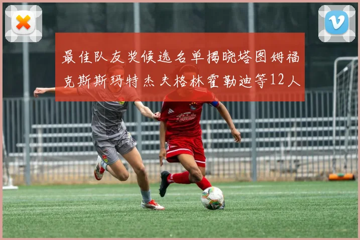 最佳队友奖候选名单揭晓塔图姆福克斯斯玛特杰夫格林霍勒迪等12人争夺荣耀