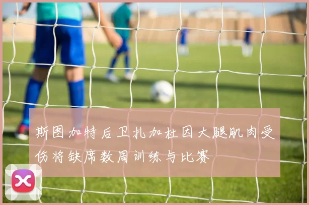 斯图加特后卫扎加杜因大腿肌肉受伤将缺席数周训练与比赛