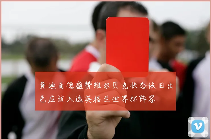 费迪南德盛赞维尔贝克状态依旧出色应该入选英格兰世界杯阵容